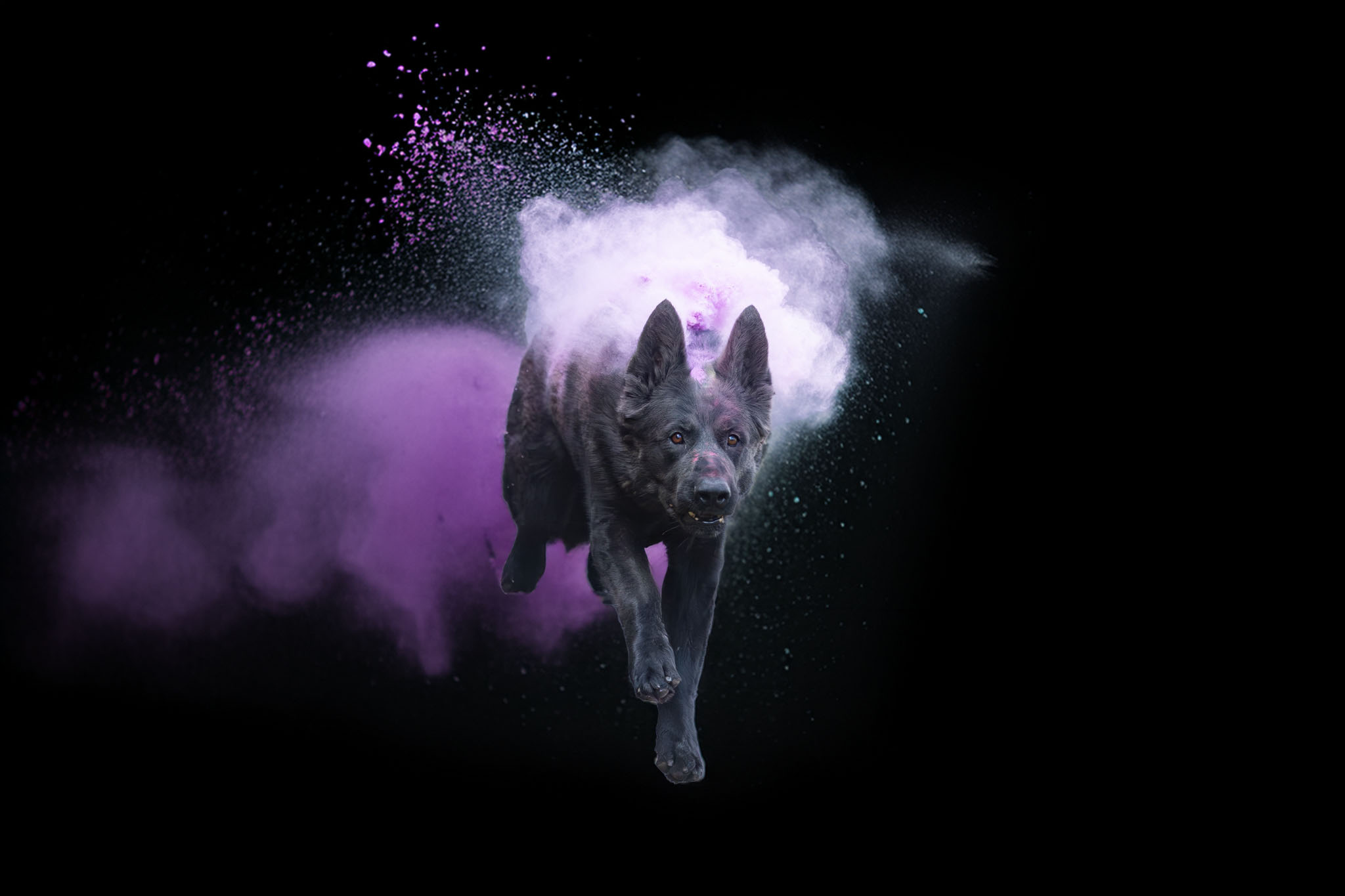 holi barvy — 5
