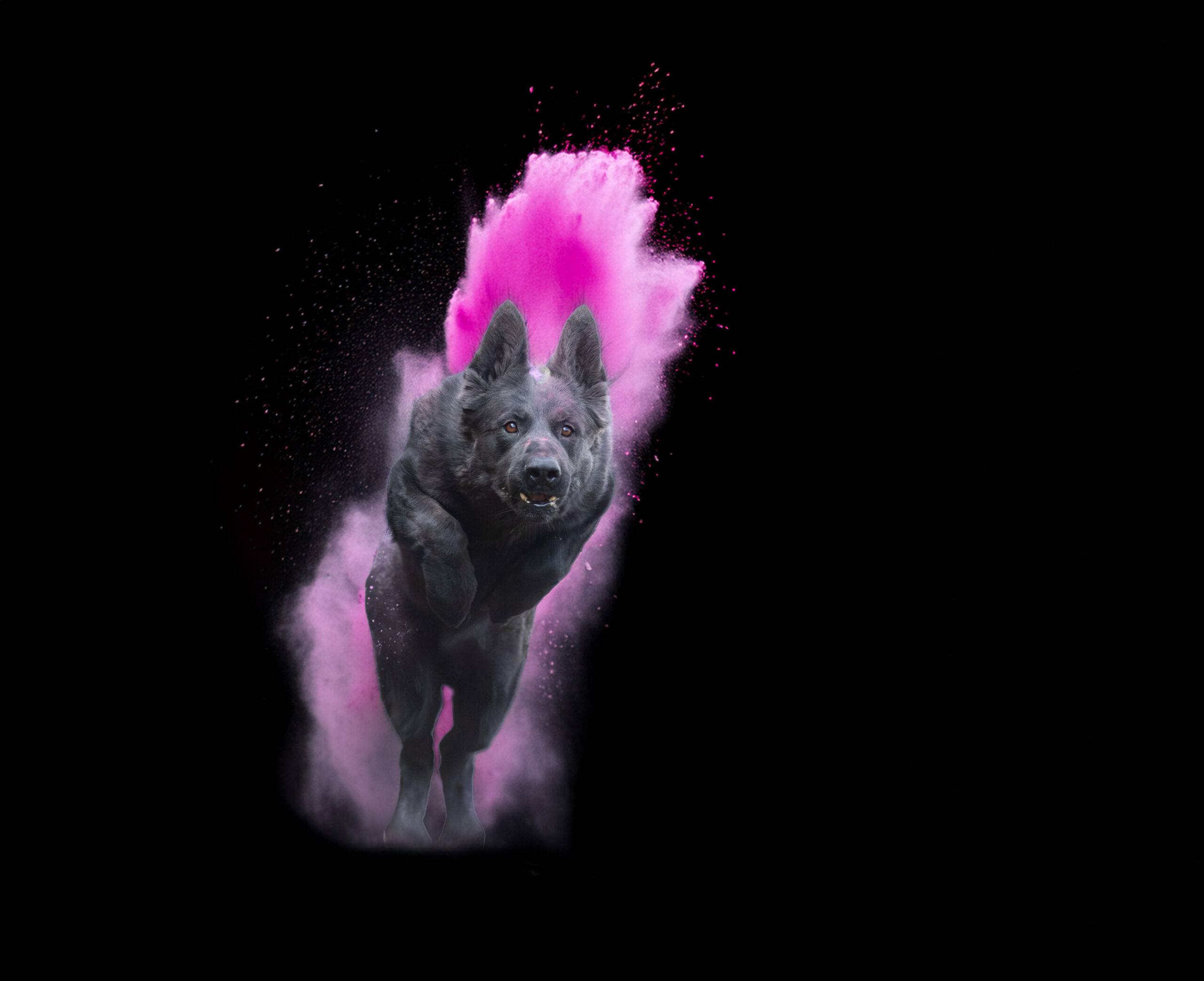 holi barvy