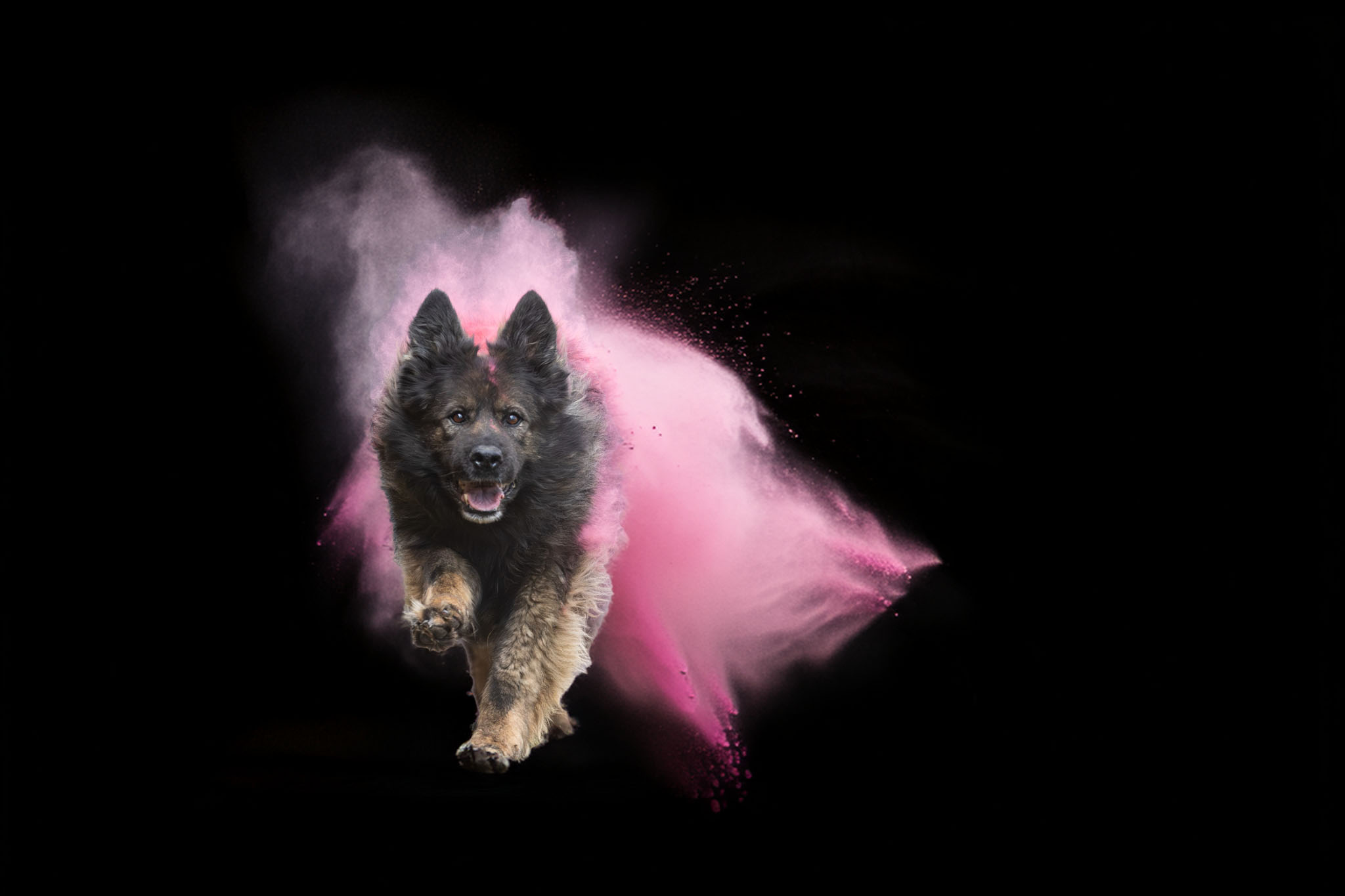 holi barvy — 6